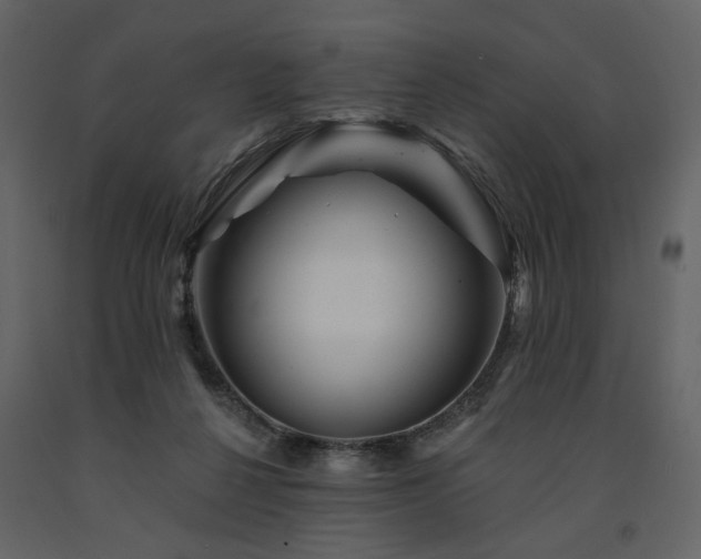 X0000091670264200708231337