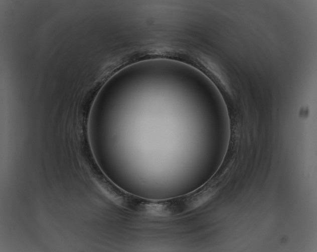 X0000091670265200708231337
