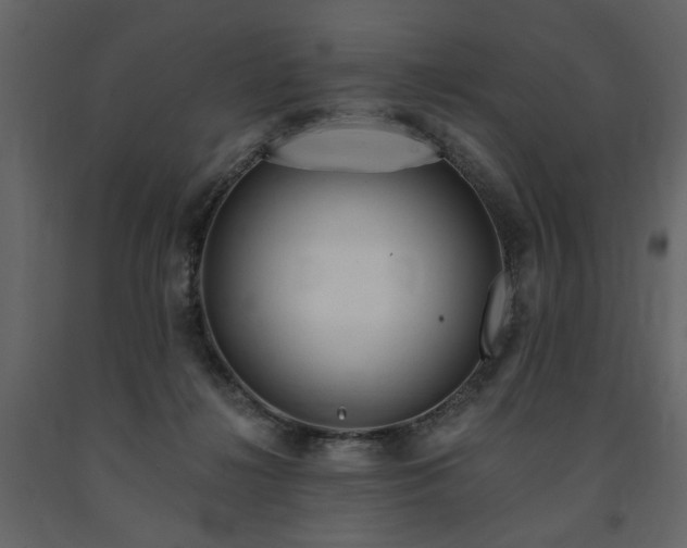 X0000091670268200708231337