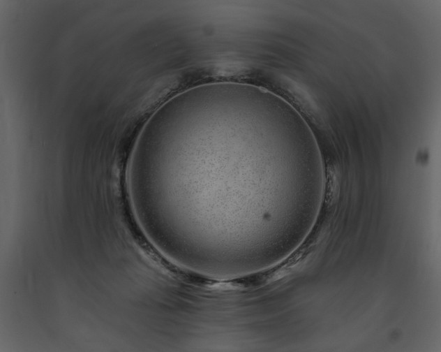 X0000091670269200708231337