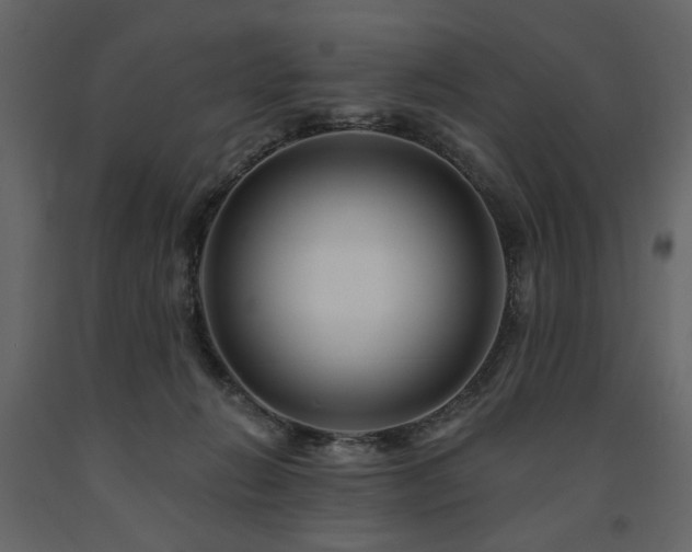 X0000091670270200708231337