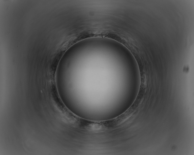 X0000091670272200708231337