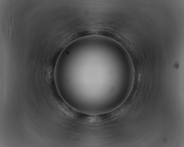 X0000091670275200708231337