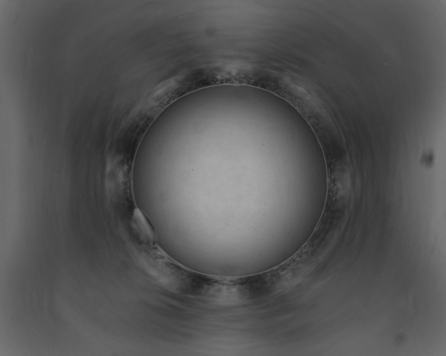 X0000091670276200708231337