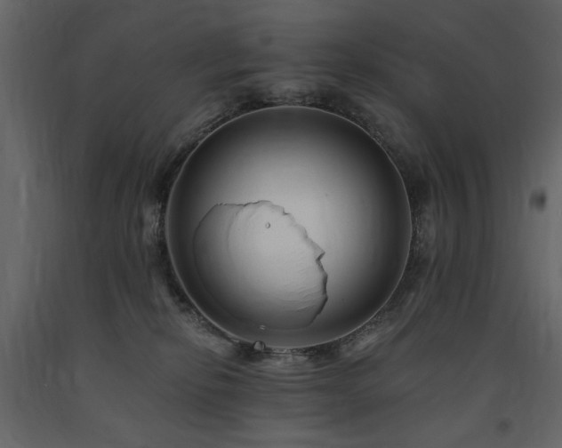 X0000091670278200708231337