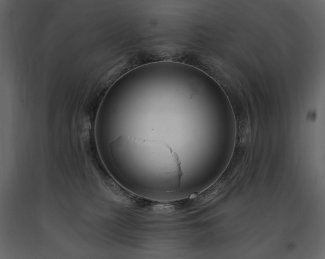X0000091670279200708231337