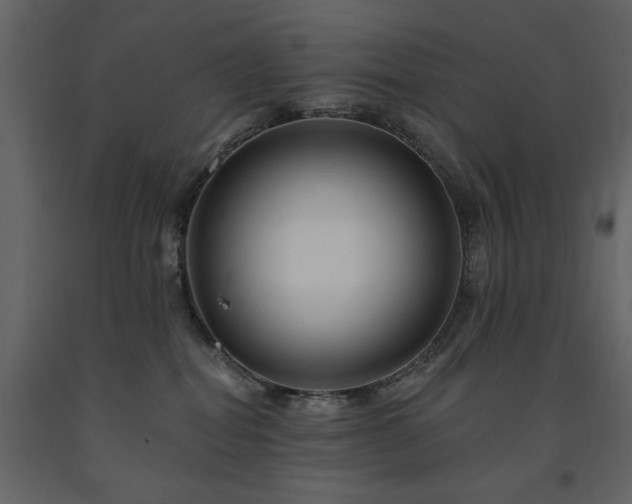 X0000091670282200708231337