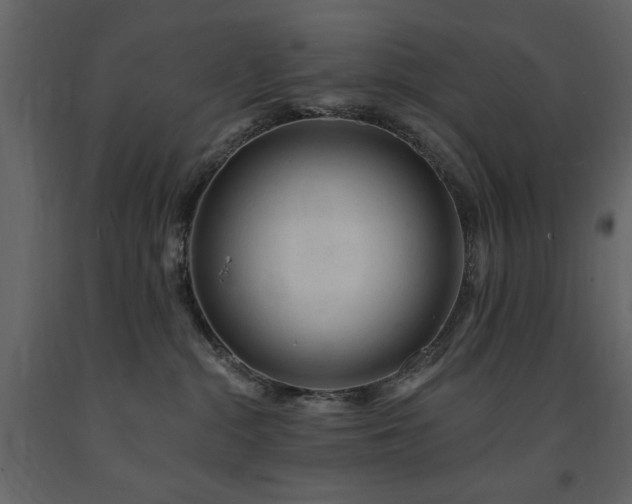 X0000091670284200708231337