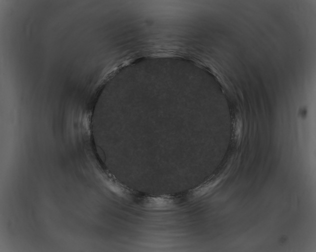 X0000091670286200708231337