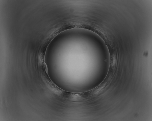 X0000091670287200708231337