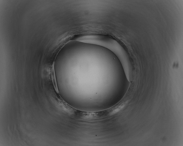 X0000091670288200708231337