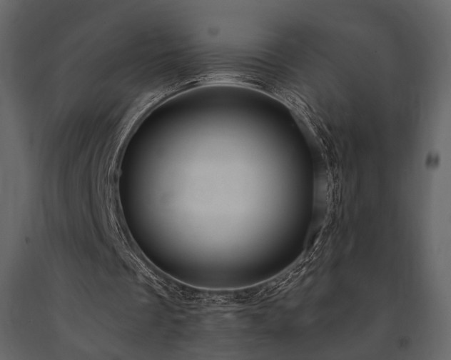 X0000091670289200708231336