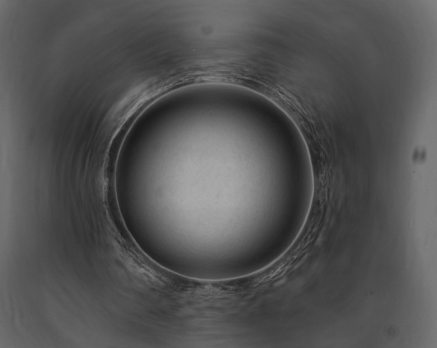 X0000091670290200708231336