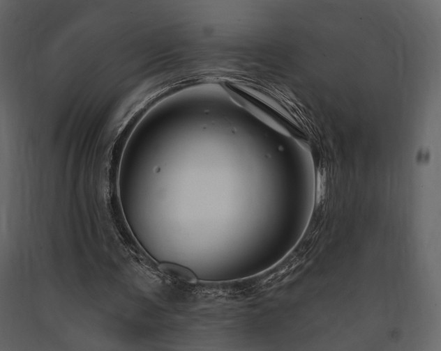X0000091670291200708231336