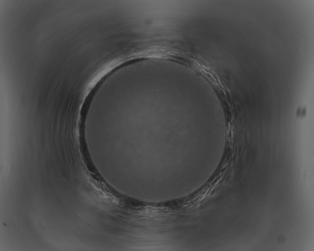 X0000091670292200708231336