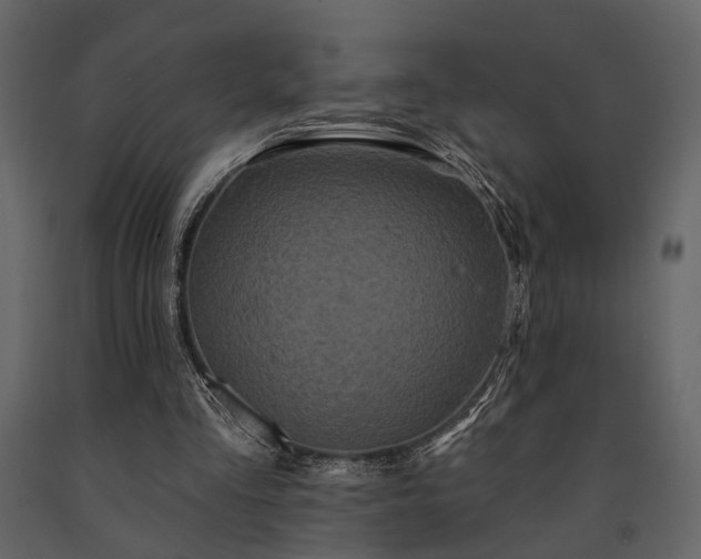 X0000091670293200708231336