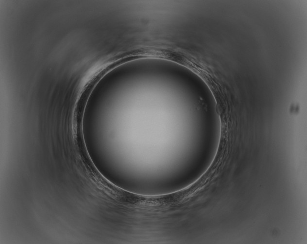 X0000091670294200708231336