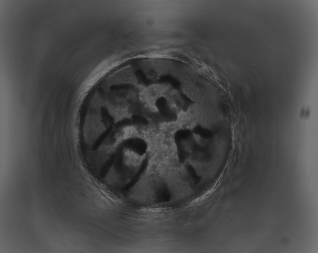 X0000091670295200708231336