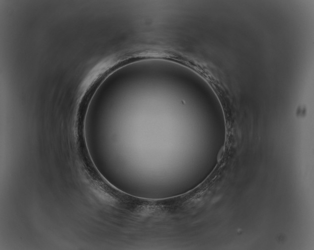 X0000091670296200708231336
