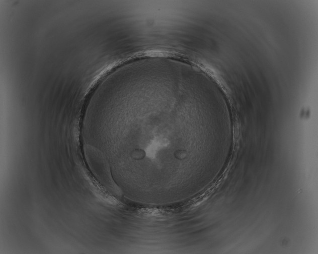 X0000091670297200708231336
