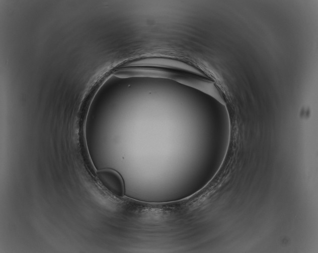 X0000091670298200708231336