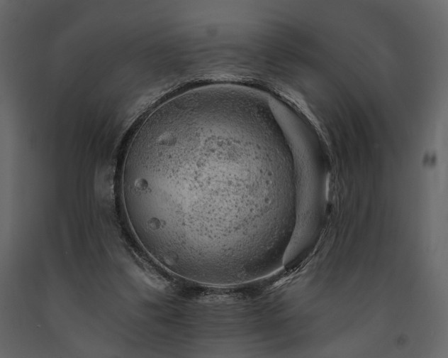 X0000091670299200708231336
