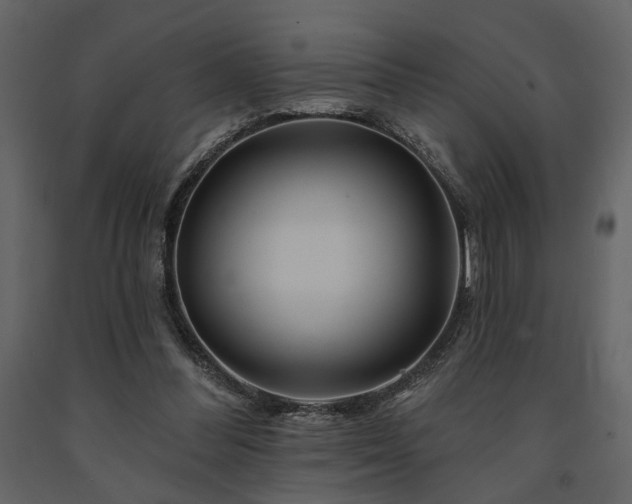 X0000091670300200708231336