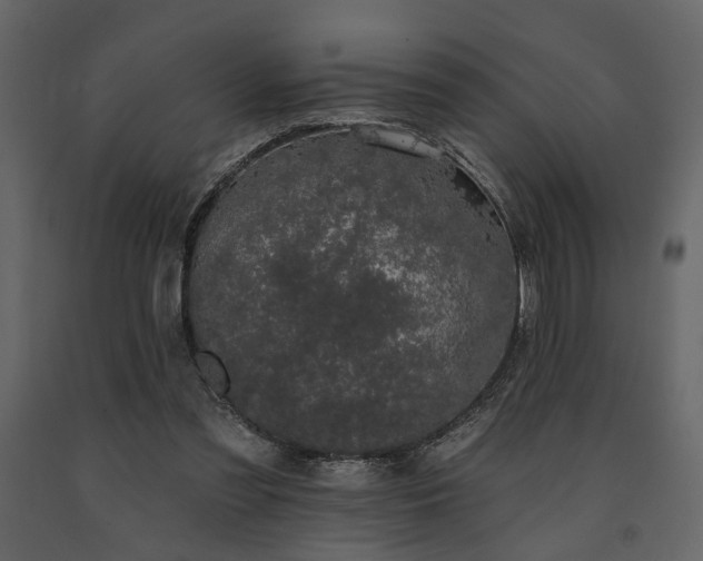 X0000091670301200708231336