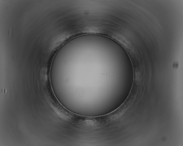 X0000091670302200708231336