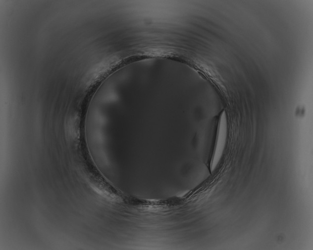 X0000091670303200708231336