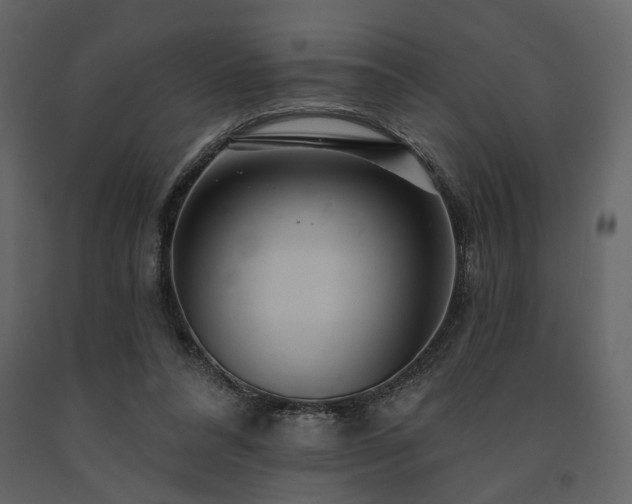 X0000091670304200708231336