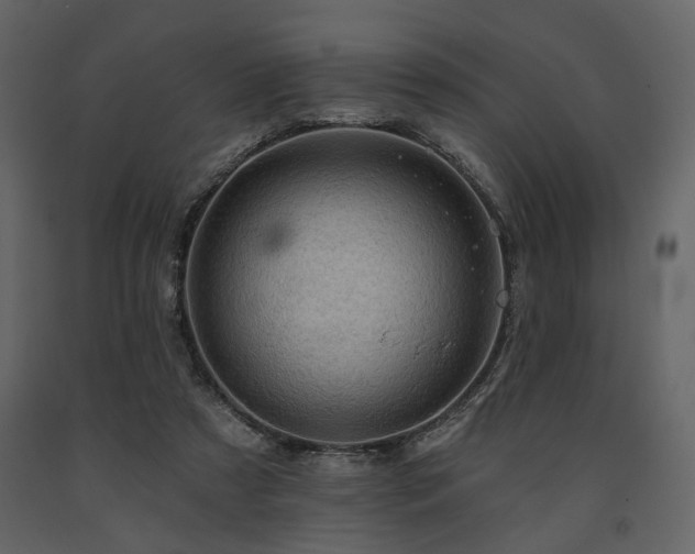X0000091670305200708231336