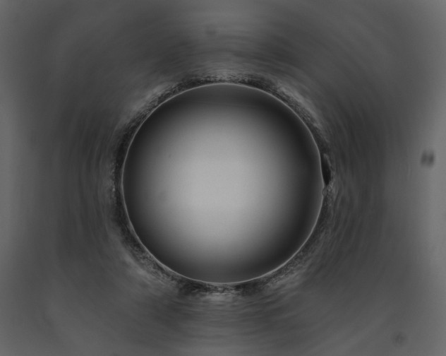 X0000091670306200708231336