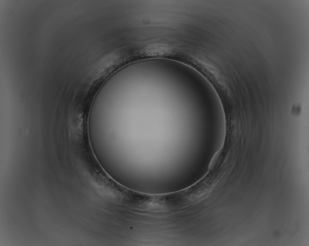 X0000091670308200708231336
