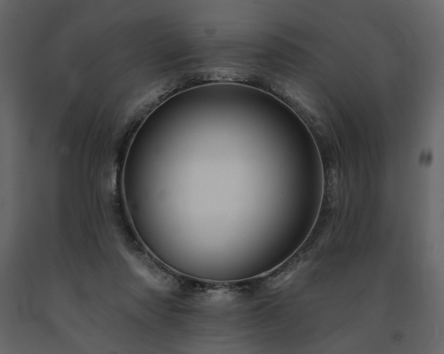X0000091670310200708231336