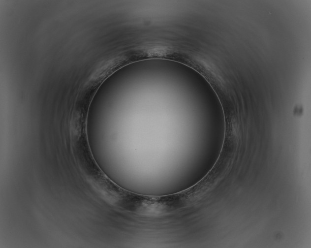 X0000091670311200708231336