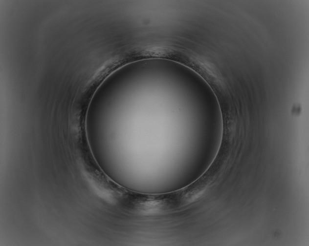X0000091670312200708231336