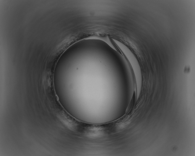 X0000091670313200708231336