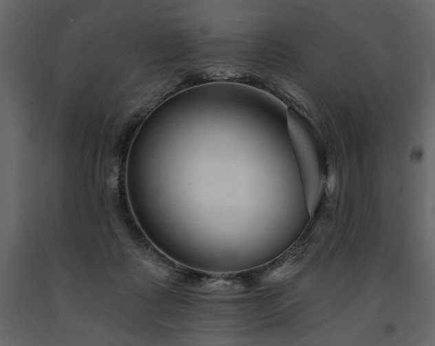 X0000091670315200708231336