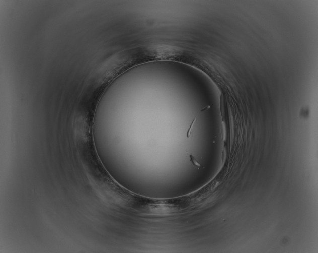 X0000091670316200708231336