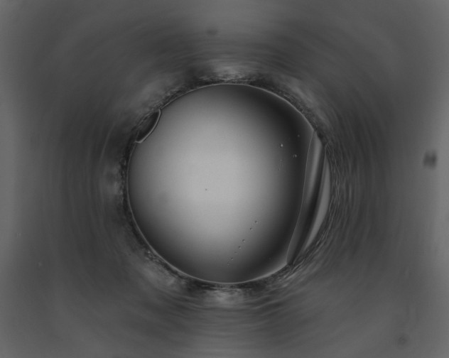 X0000091670317200708231336