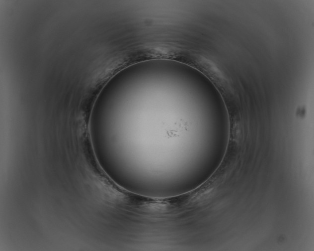 X0000091670318200708231336