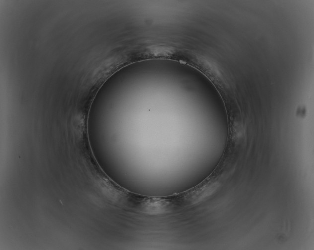 X0000091670321200708231336