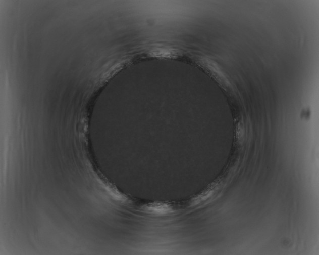 X0000091670322200708231336