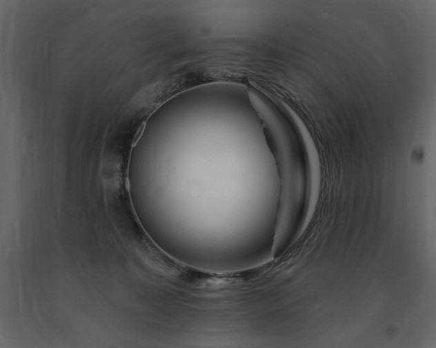 X0000091670323200708231336