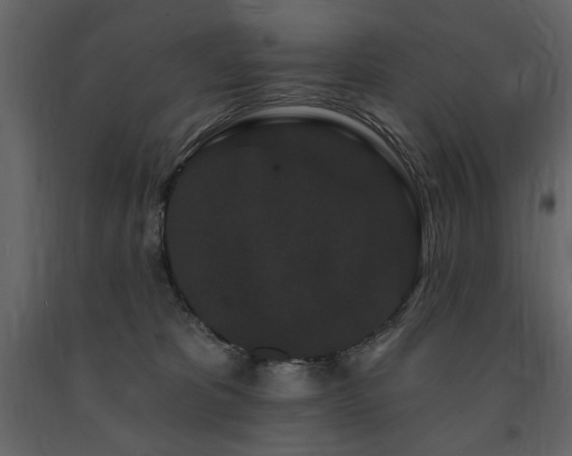 X0000091670325200708231336