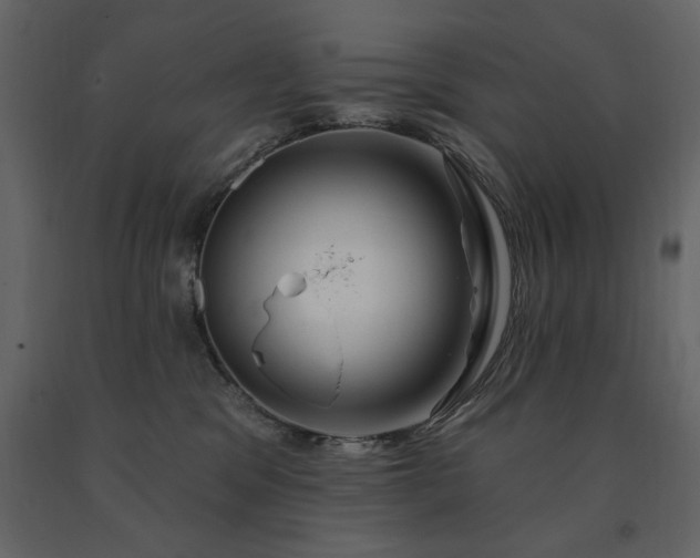 X0000091670329200708231336