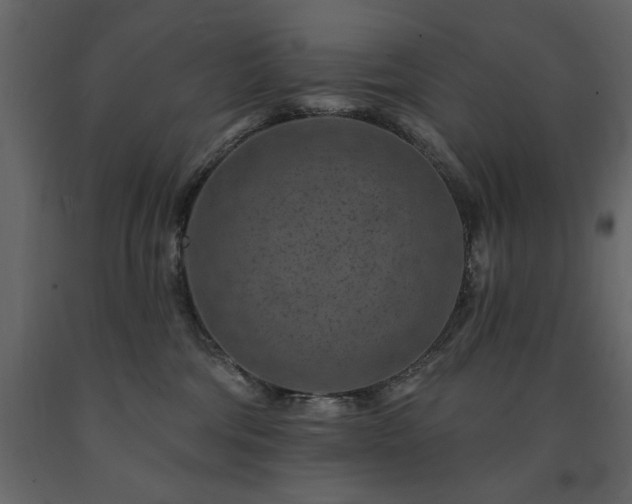X0000091670330200708231336