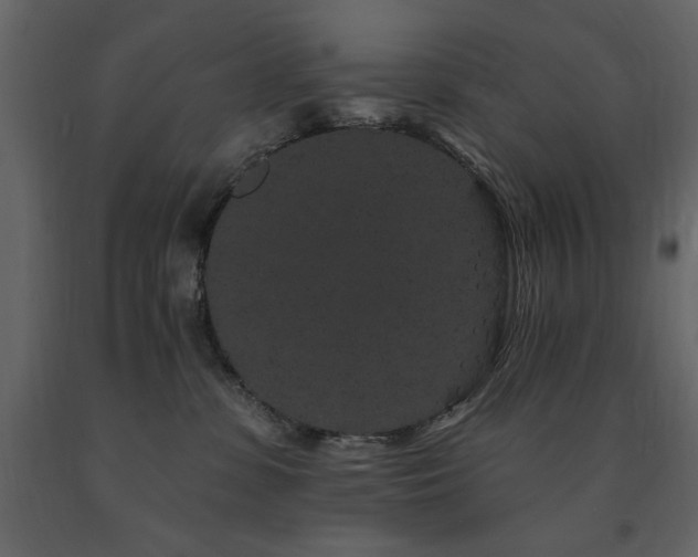 X0000091670331200708231336