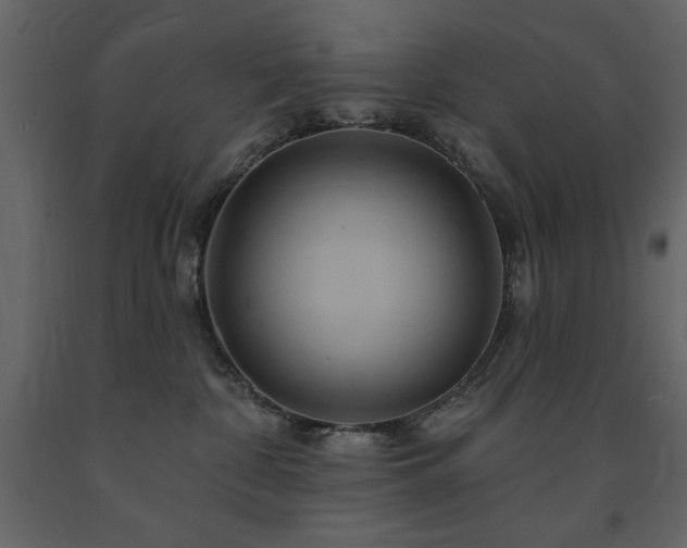 X0000091670332200708231336